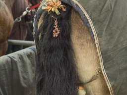 img_3908_web